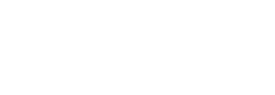 TaleWorlds Logo